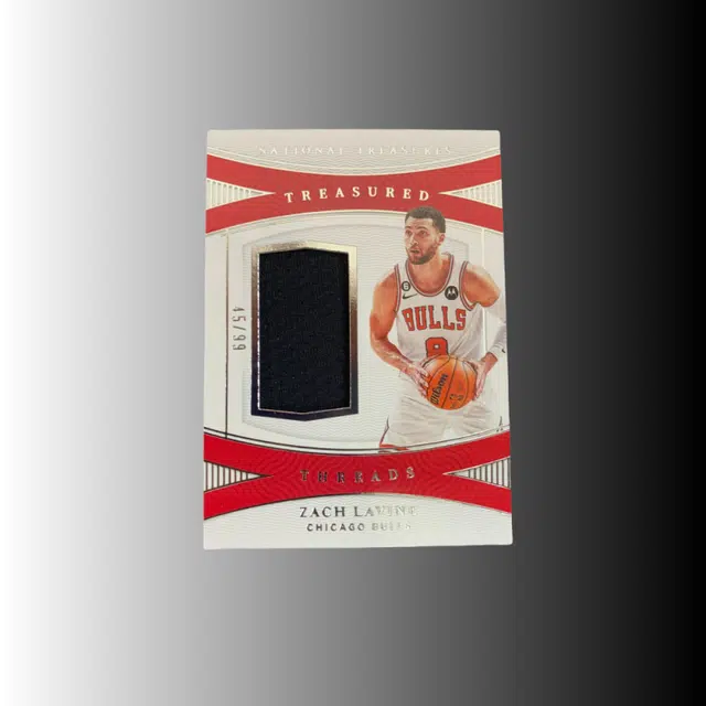 PANINI 2022-23 4599