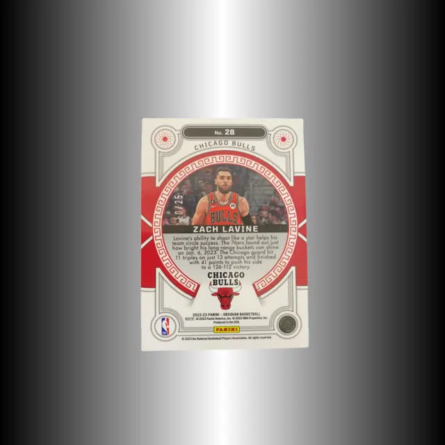PANINI 2022-23 1025