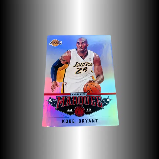 PANINI 12-13