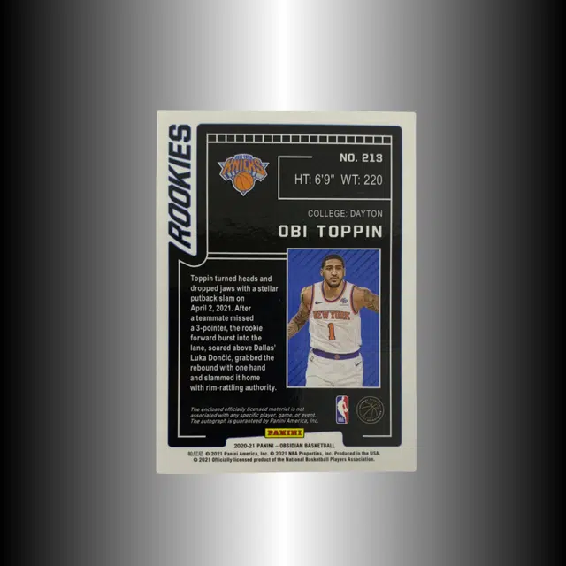 PANINI 2020-21 RPA