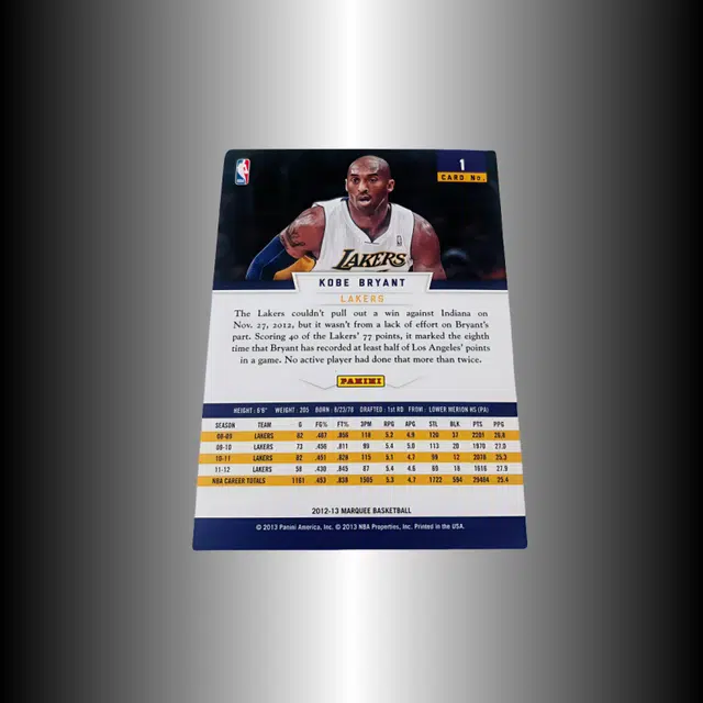 PANINI 12-13