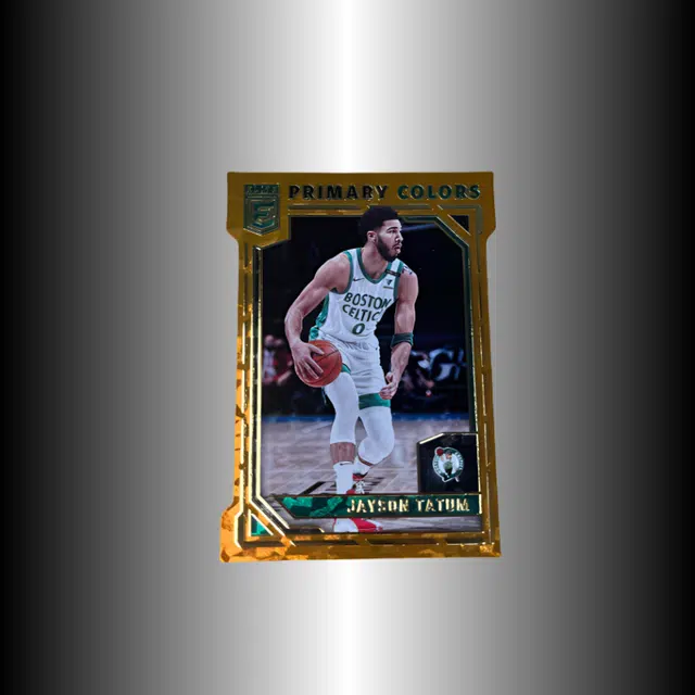 PANINI Elite Primary 2021-2022