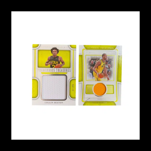 PANINI 2022-23 51991699