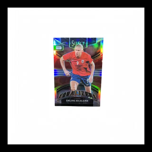 PANINI FIFA SELECT