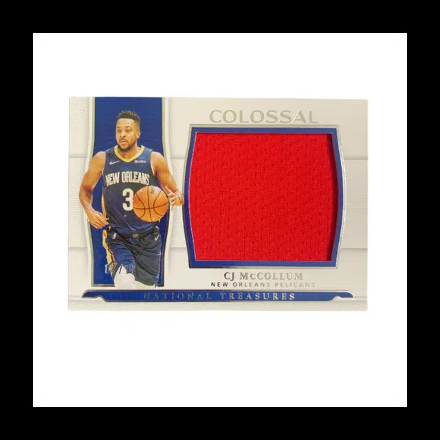PANINI 2021-22 CJ patch