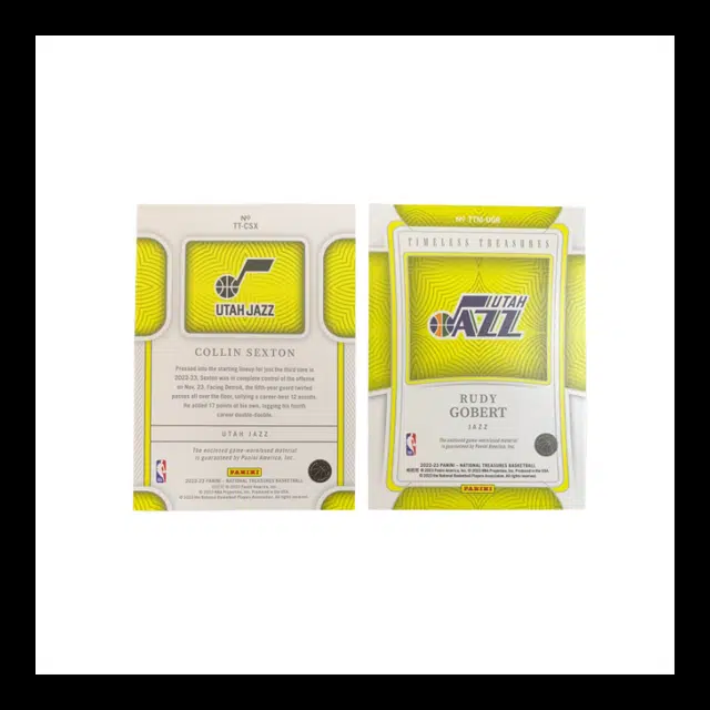 PANINI 2022-23 51991699