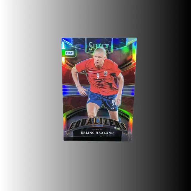 PANINI FIFA SELECT