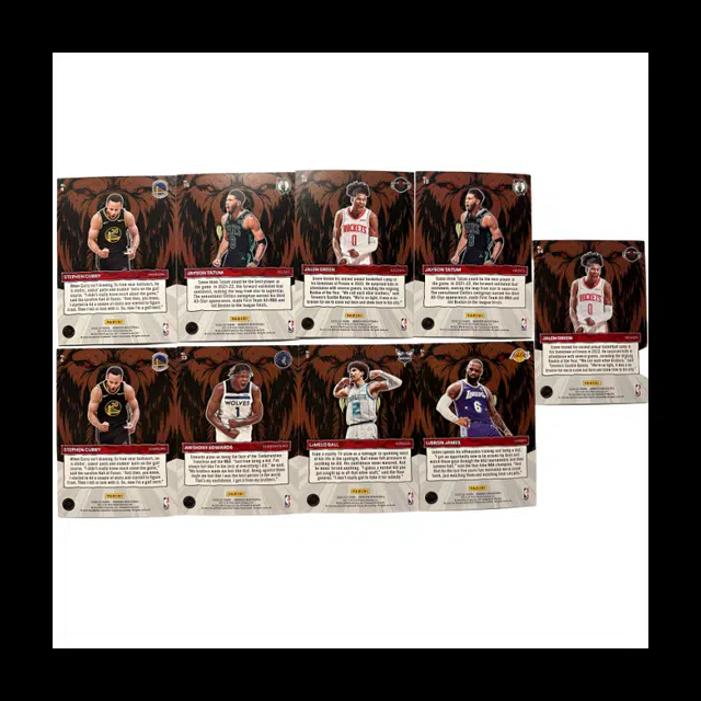 PANINI 22-23 9