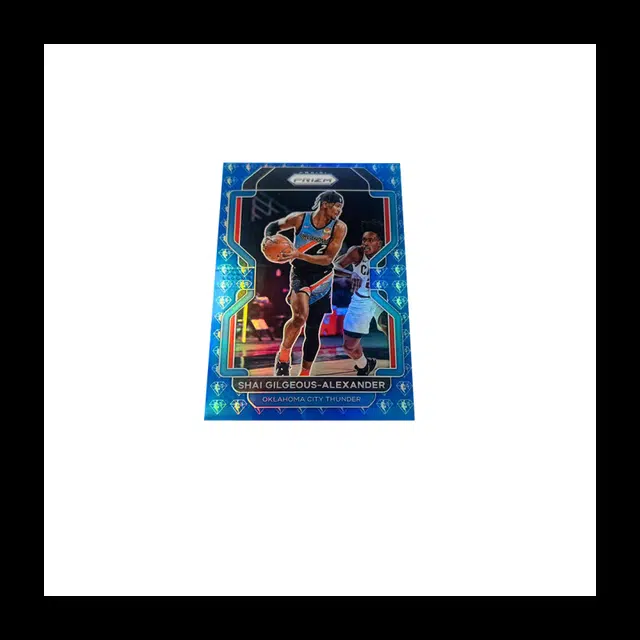 PANINI 21-22 Prizm 75