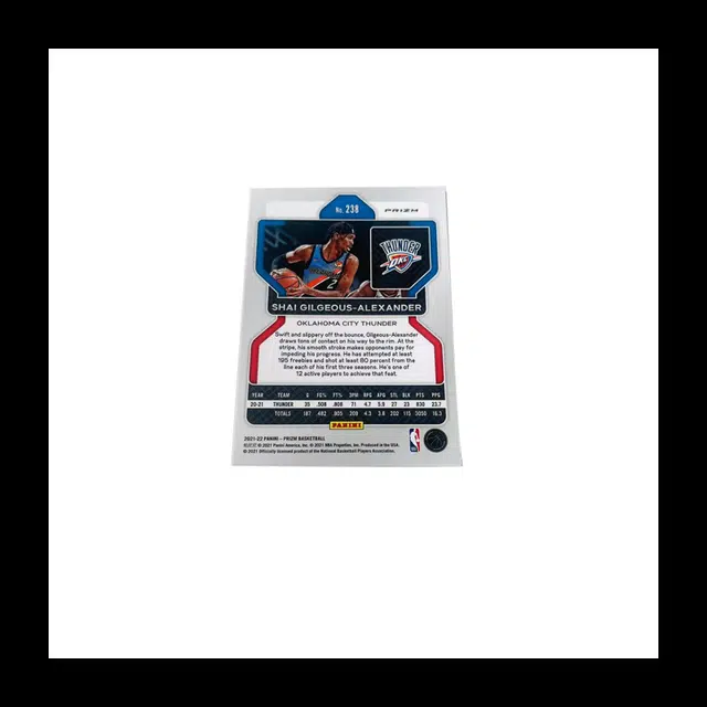 PANINI 21-22 Prizm 75