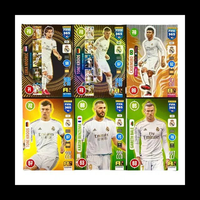 PANINI 2021 6
