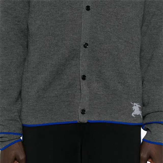 Burberry FW24 V