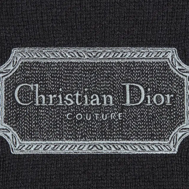 DIOR FW22 Logo