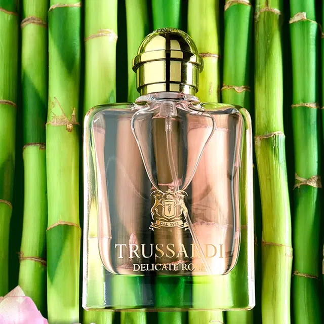 EDT 30ml50ml100ml