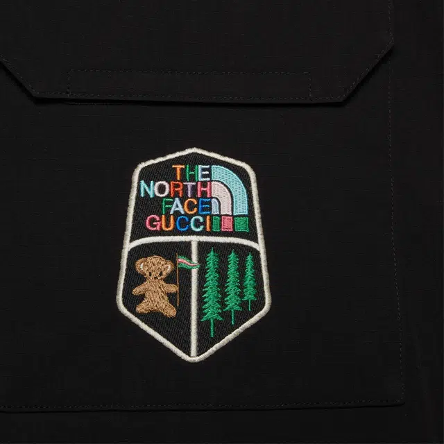GUCCI xThe North Face FW22