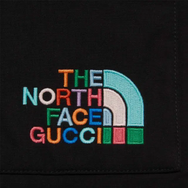 GUCCI xThe North Face FW22