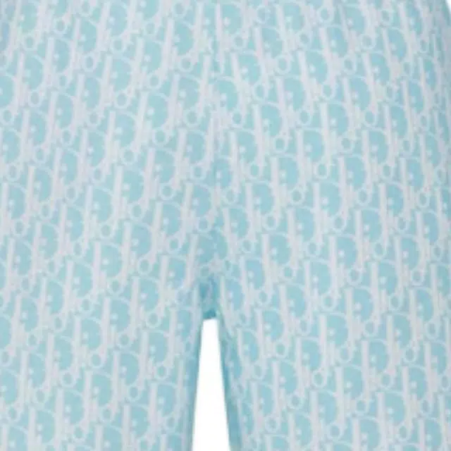 DIOR SS24 Logo