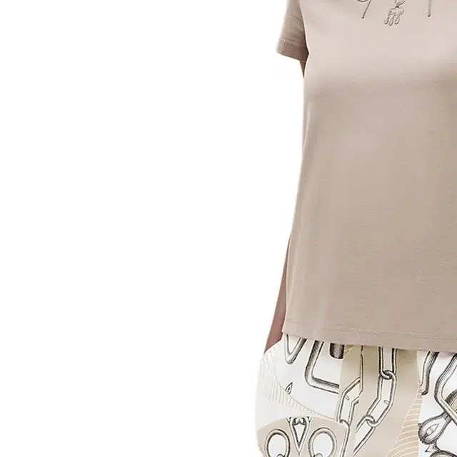 HERMES Logo T