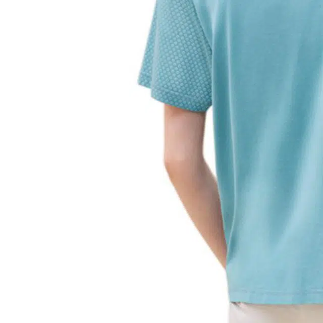 HERMES Logo T