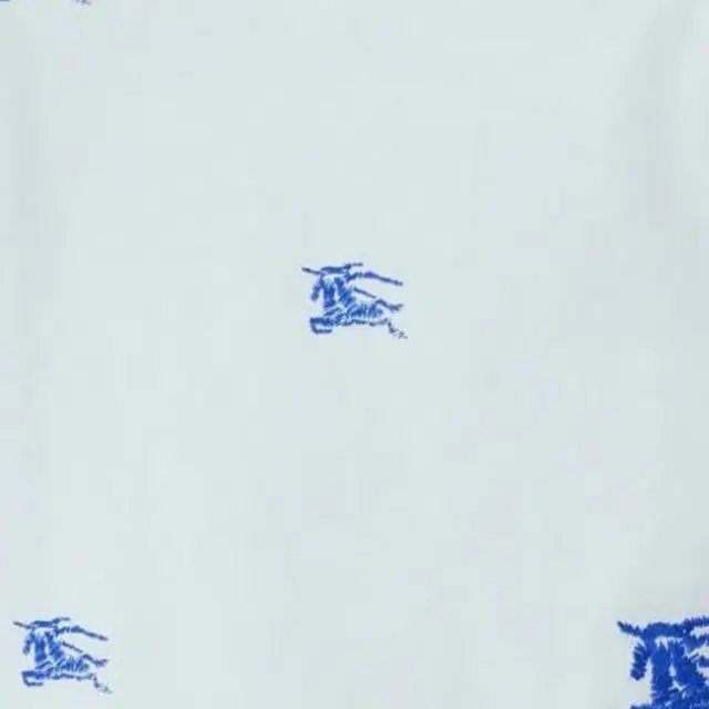 Burberry T