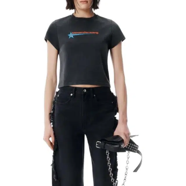 alexander wang FW25 T