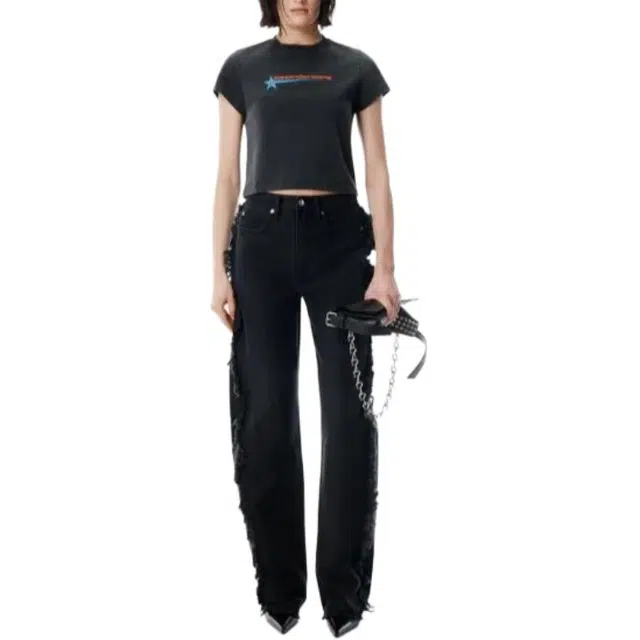 alexander wang FW25 T