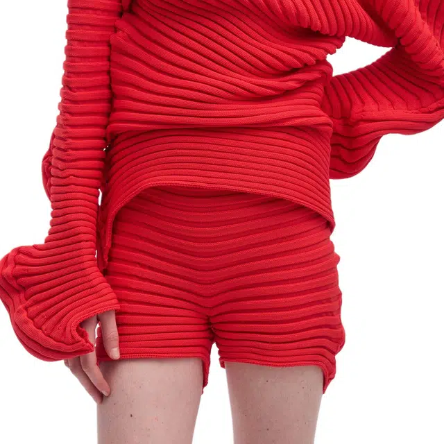 ISSEY MIYAKE FW25