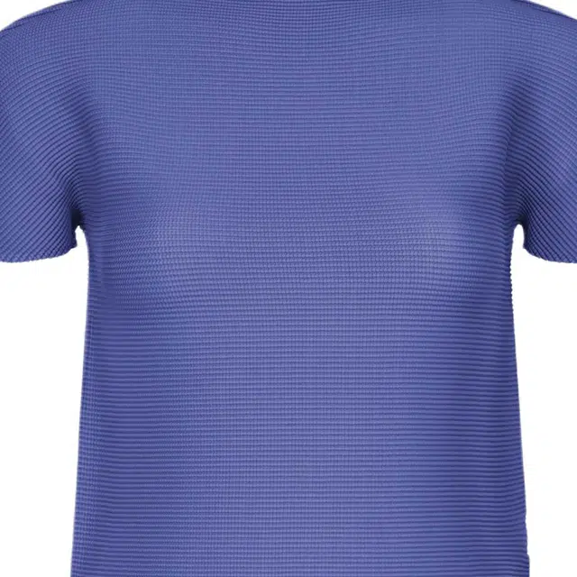 ISSEY MIYAKE FW25 T