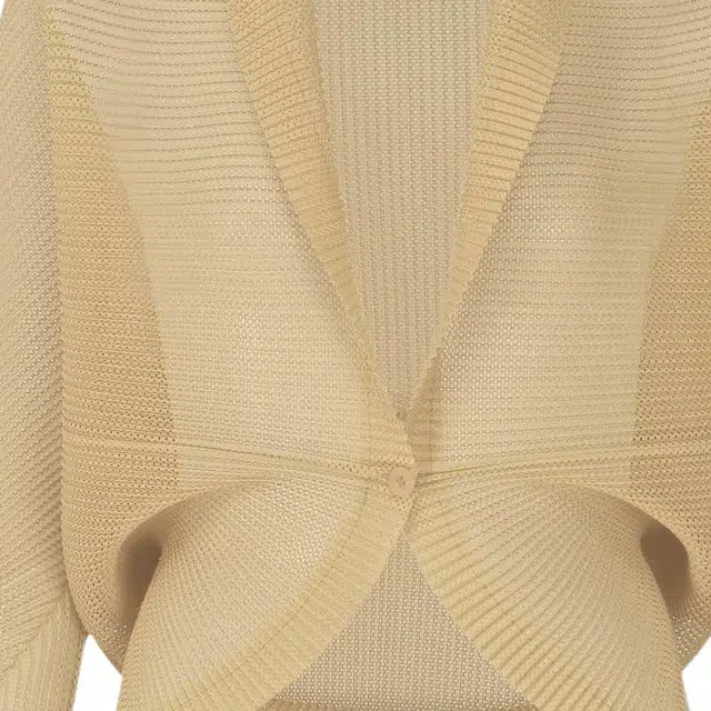 PLEATS PLEASE ISSEY MIYAKE FW25