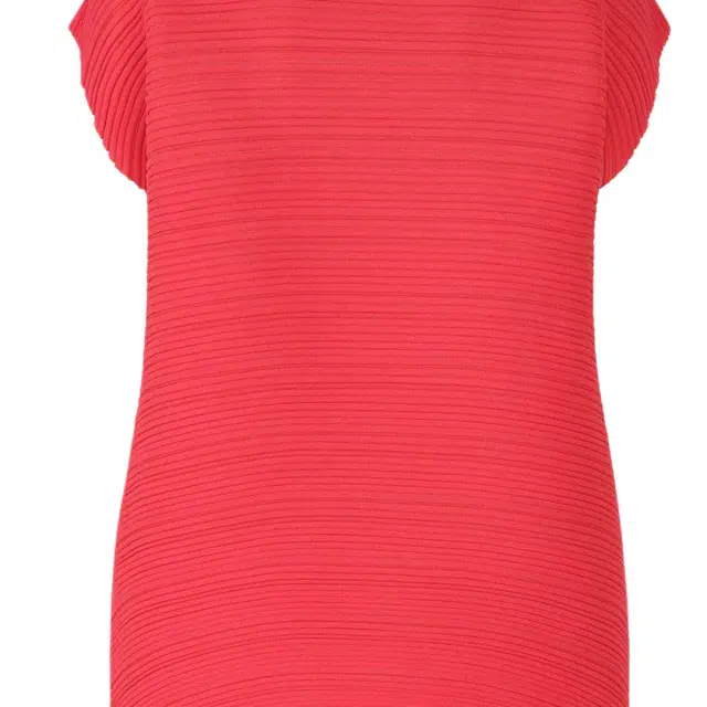 PLEATS PLEASE ISSEY MIYAKE FW25T