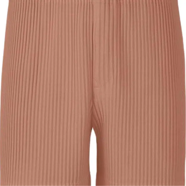 Homme Pliss Issey Miyake FW25