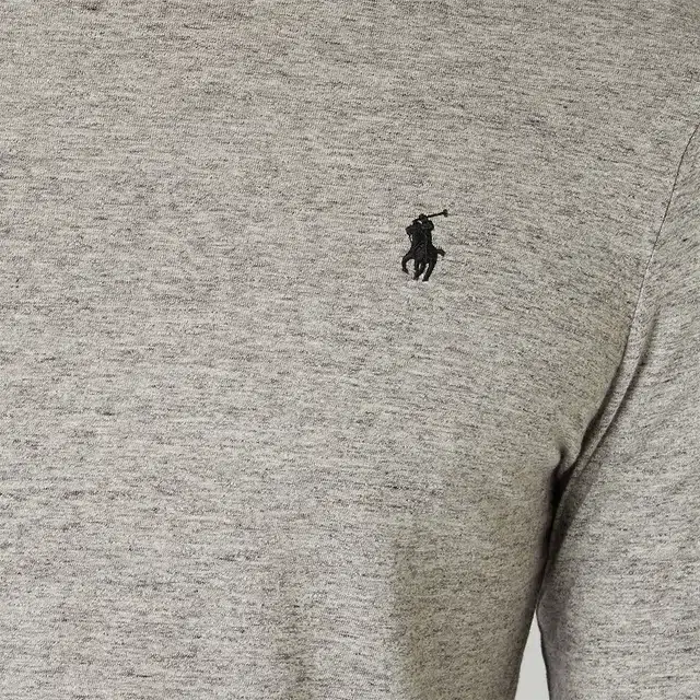Polo Ralph Lauren SS24 LogoT