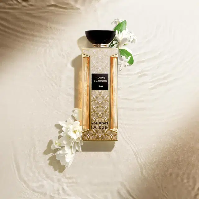 EDP 100ml
