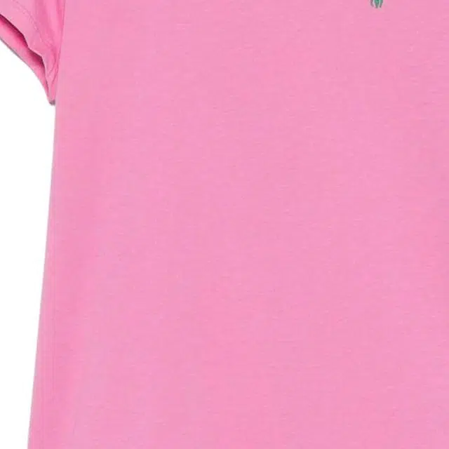 Polo Ralph LaurenTLogo