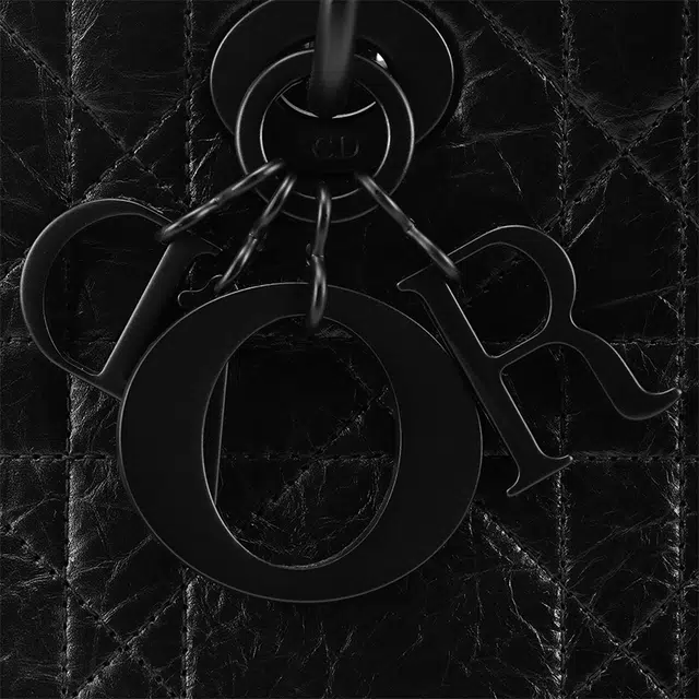 DIOR Lady D-Sire My ABCDior