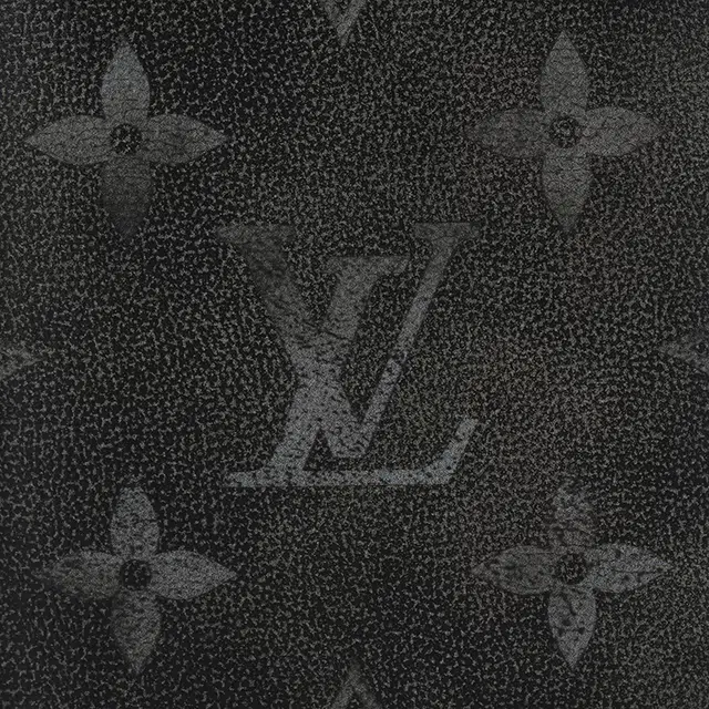 LOUIS VUITTON POCKET ORGANIZER