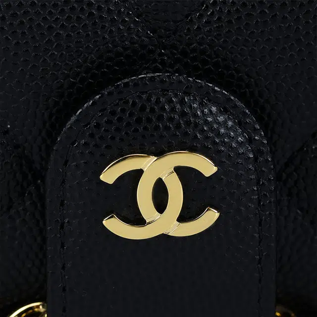CHANEL 22P