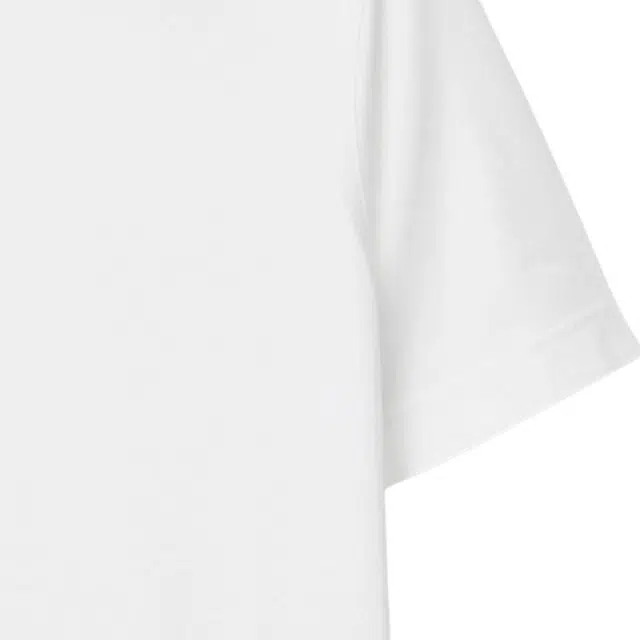 Burberry SS24 LogoT