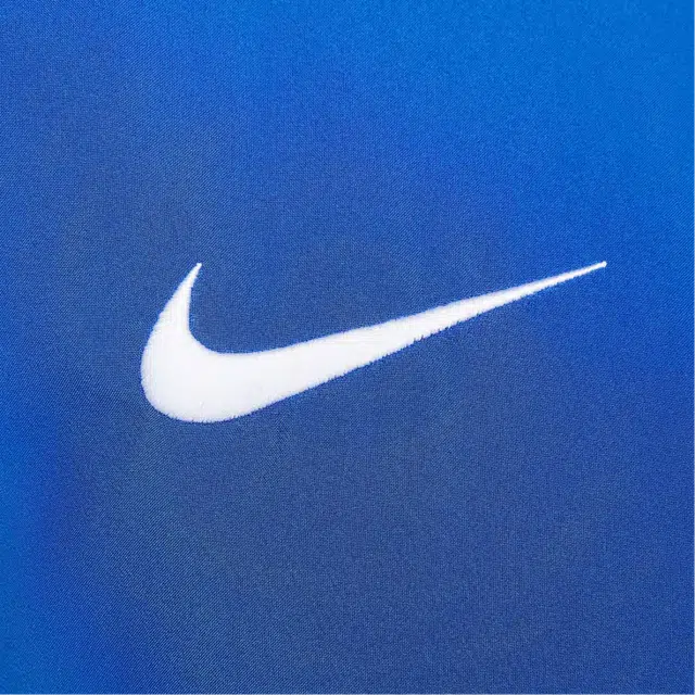 Nike Dri-Fit Academy SS25 450