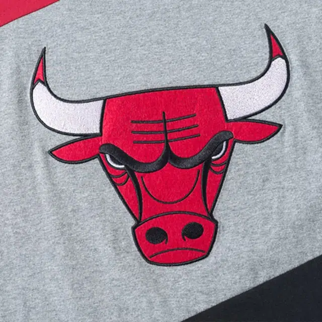 Mitchell Ness NBA logo