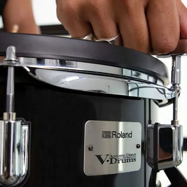 Roland VAD307