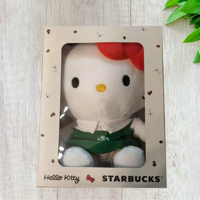 Starbucks Hello Kitty Kitty
