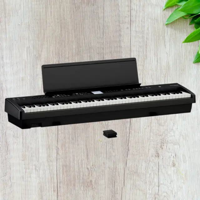 Roland () FP-E50