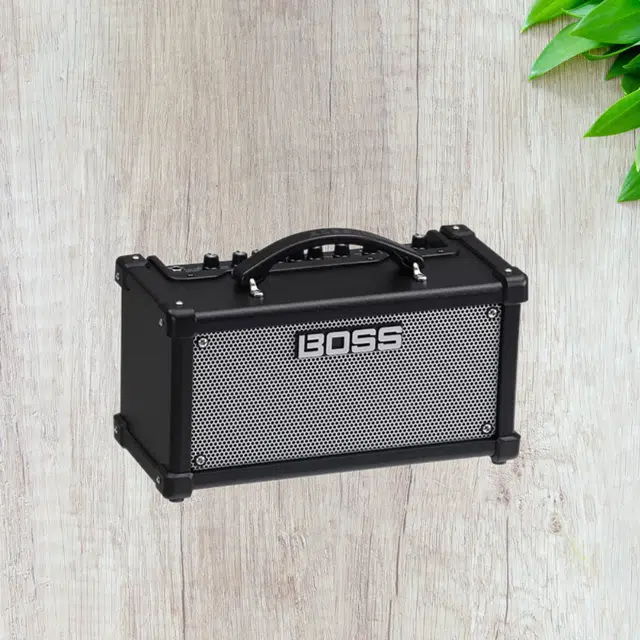Roland DUAL CUBE LX BOSS