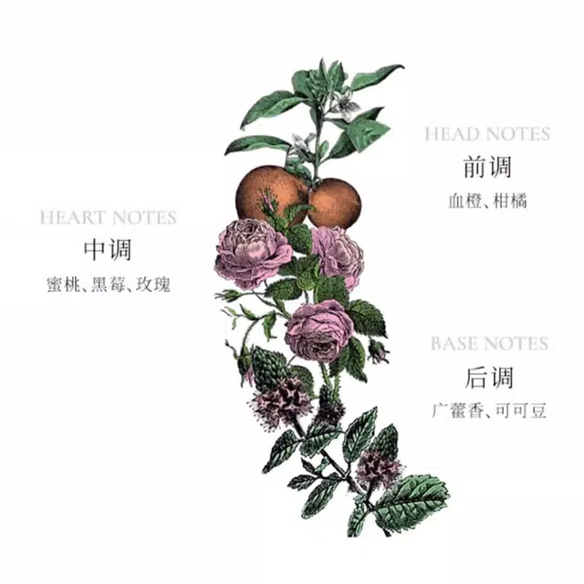 EDP 100ml