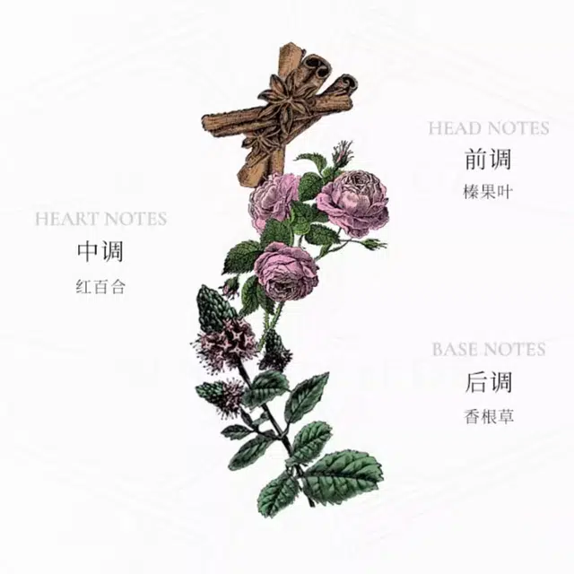 EDP 100ml
