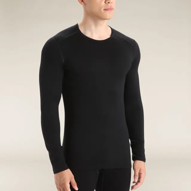 icebreaker 260 Tech T