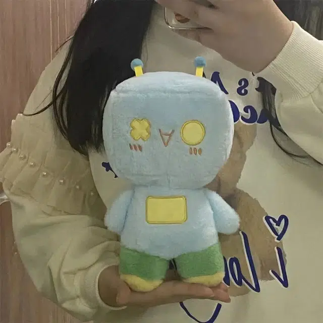 24cm