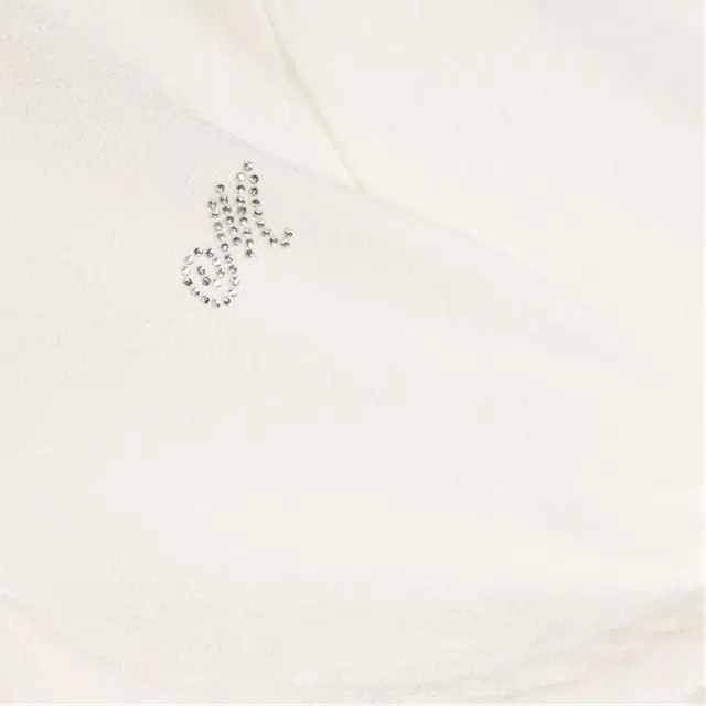 Polo Ralph Lauren Logo