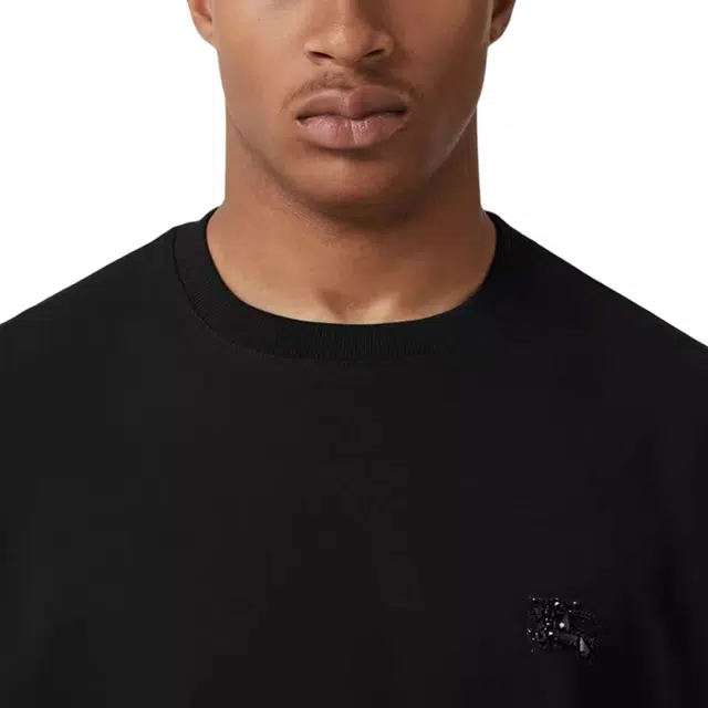Burberry FW22 T